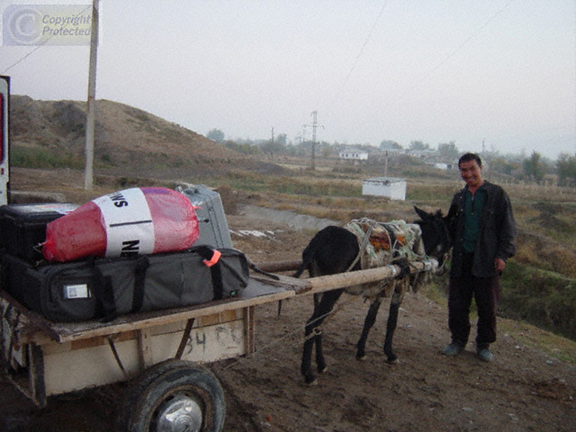 Donkey Cart at the Uzbek and Tajik Border